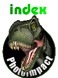 Image dinosaure et message index